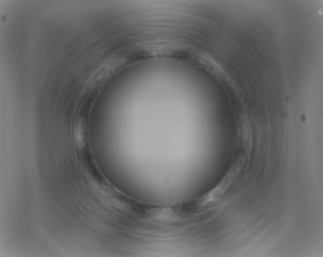 X0000076450074200610271834