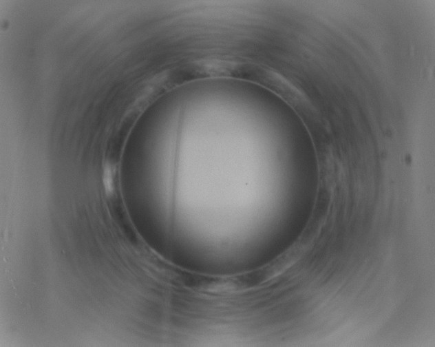 X0000076450075200610271834