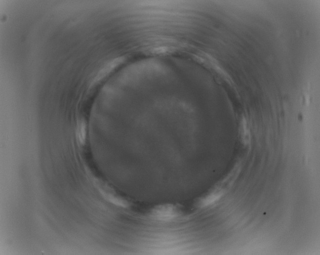 X0000076450076200610271834