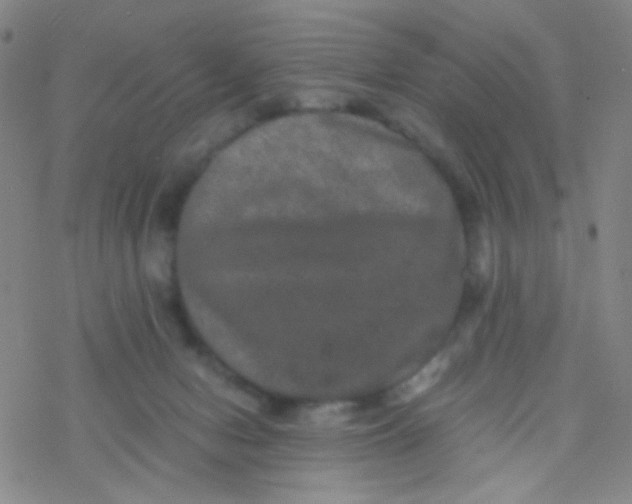 X0000076450078200610271835