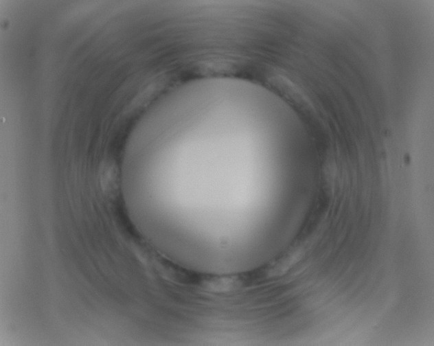 X0000076450079200610271835