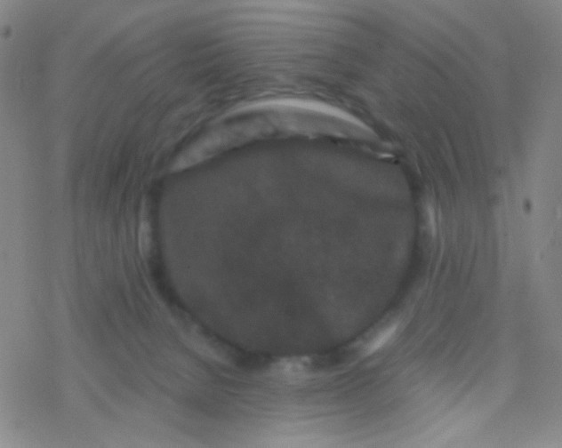 X0000076450080200610271835