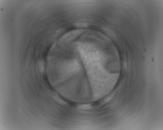 X0000076450081200610271835