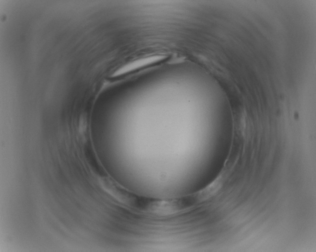 X0000076450082200610271835