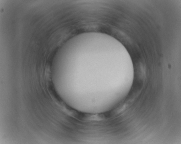 X0000076450083200610271835