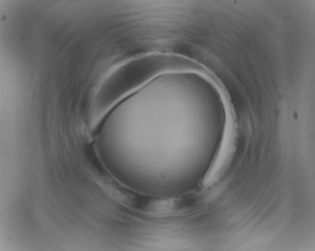 X0000076450084200610271835