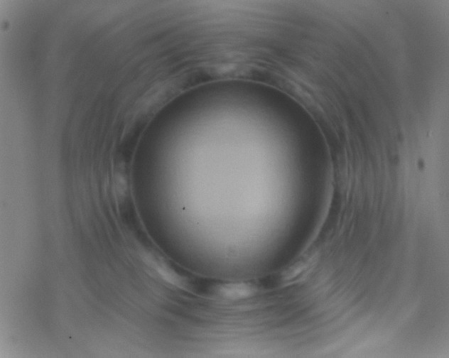 X0000076450085200610271835