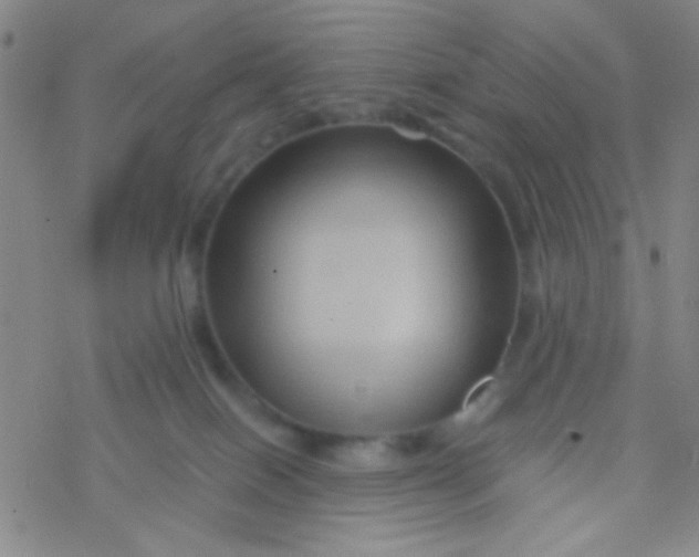 X0000076450086200610271835