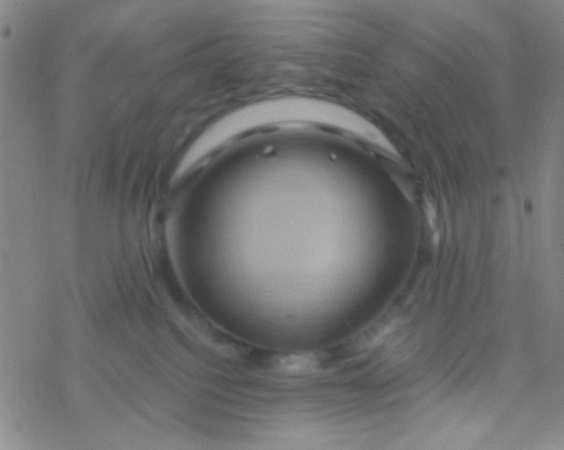 X0000076450088200610271835