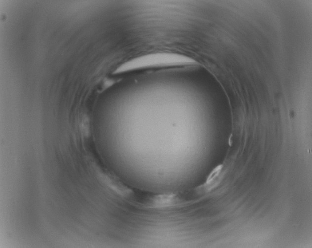 X0000076450090200610271835