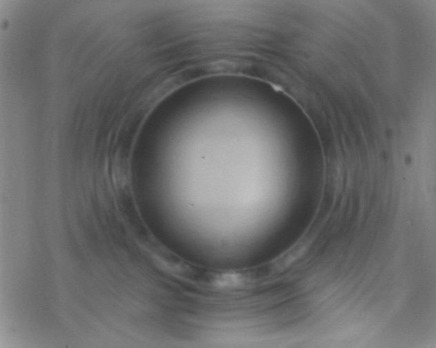 X0000076450091200610271835