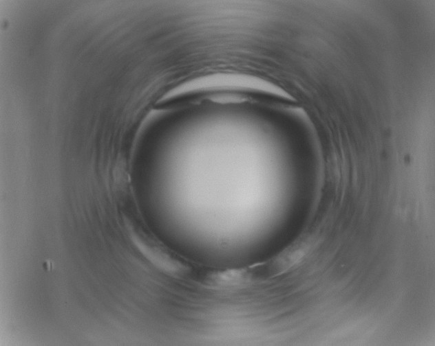 X0000076450092200610271835