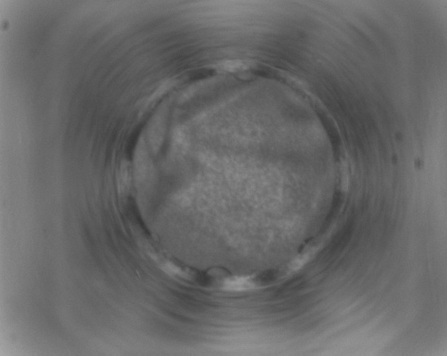 X0000076450093200610271835