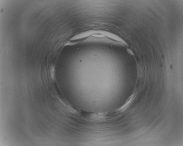 X0000076450094200610271835