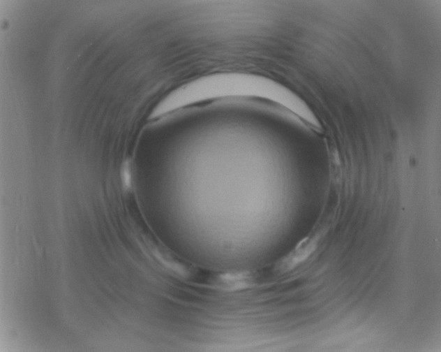 X0000076450095200610271835