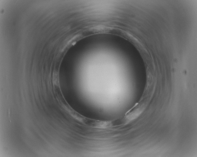 X0000076450096200610271835