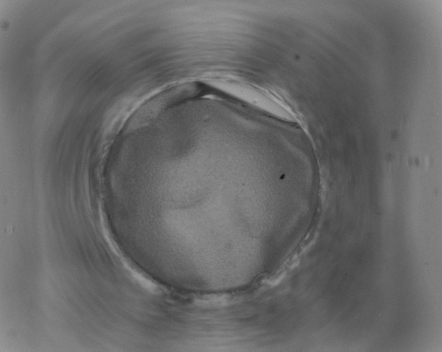 X0000076450097200610271834