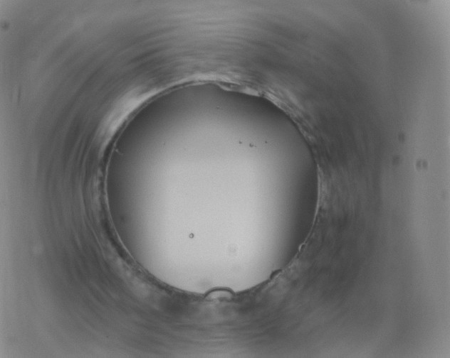 X0000076450098200610271834