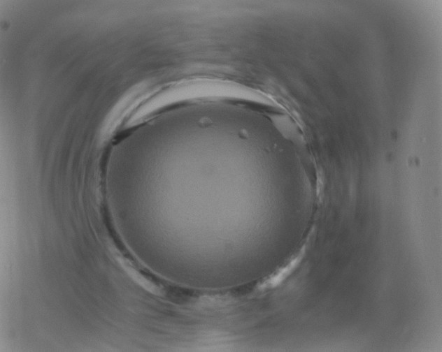 X0000076450101200610271834