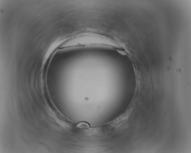 X0000076450102200610271834