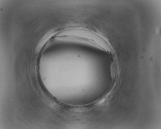 X0000076450103200610271834