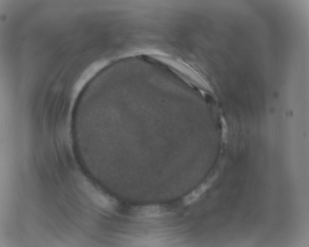 X0000076450104200610271834