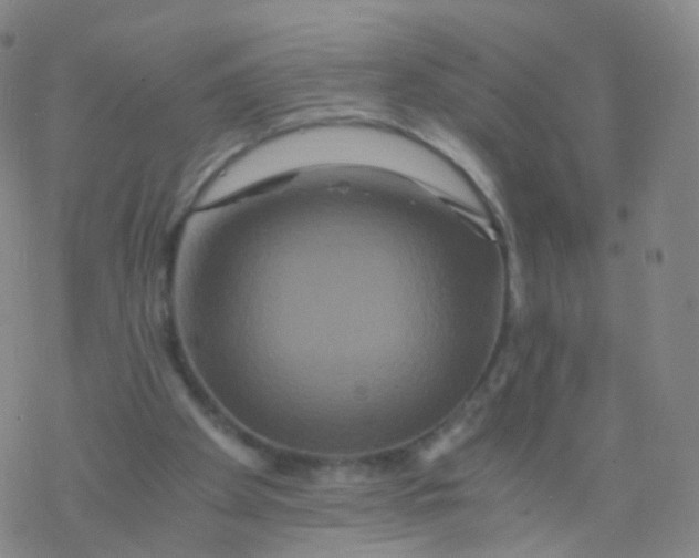 X0000076450105200610271834