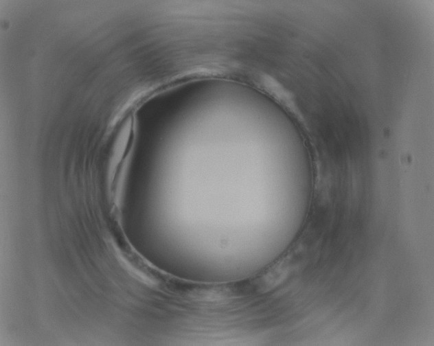 X0000076450106200610271834