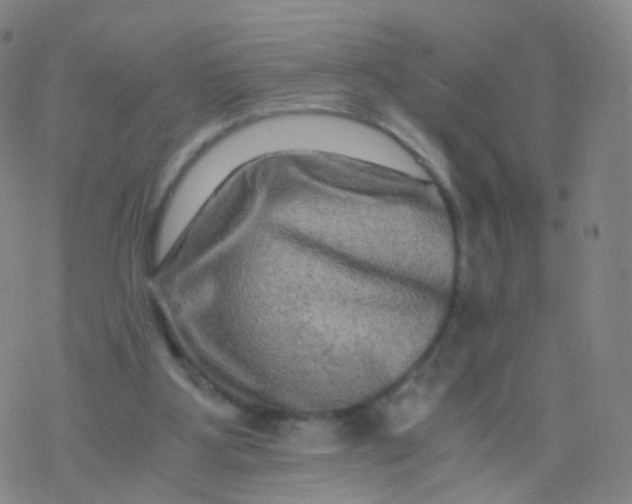 X0000076450107200610271834