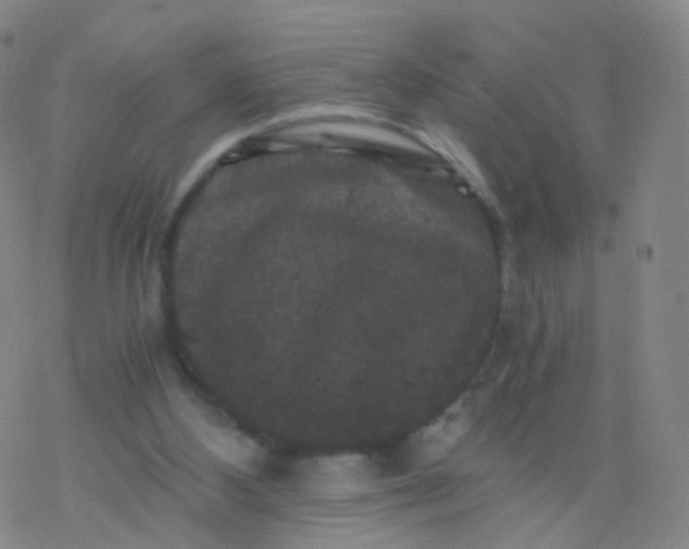 X0000076450108200610271834