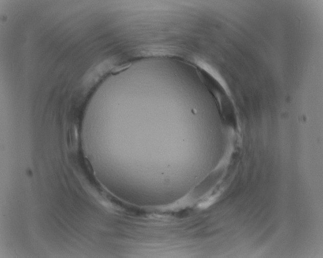 X0000076450109200610271834