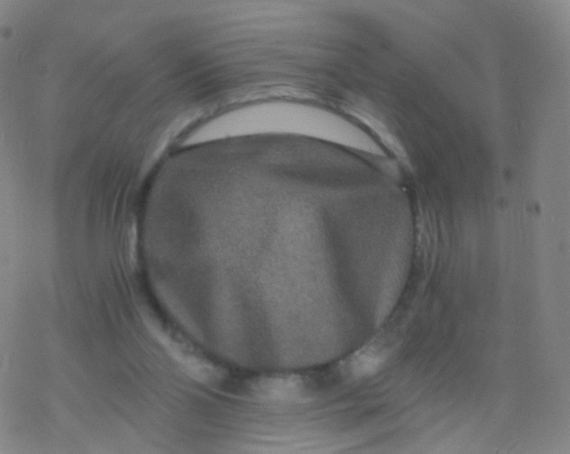 X0000076450110200610271834