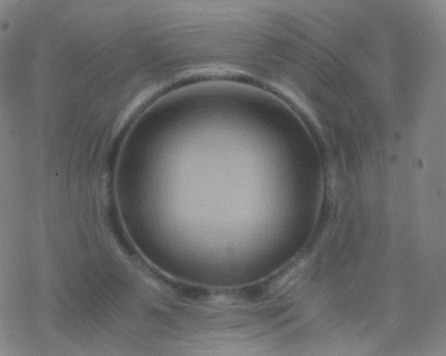 X0000076450111200610271834