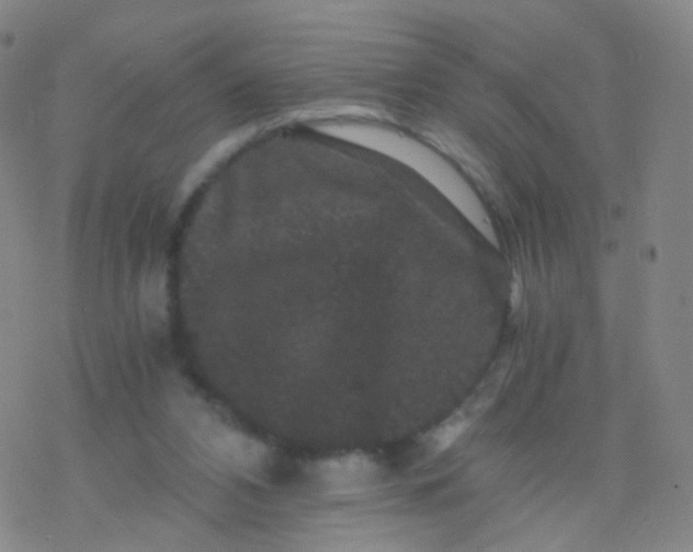 X0000076450112200610271834