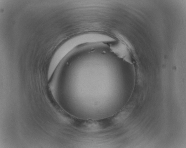 X0000076450113200610271834