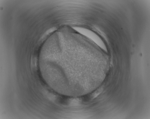 X0000076450115200610271834