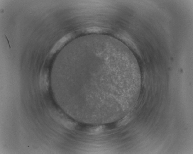 X0000076450116200610271834