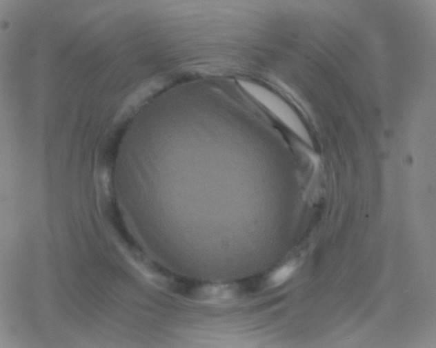 X0000076450117200610271834