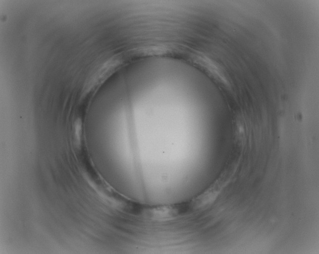 X0000076450118200610271834