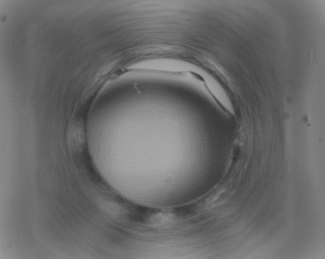 X0000076450119200610271834