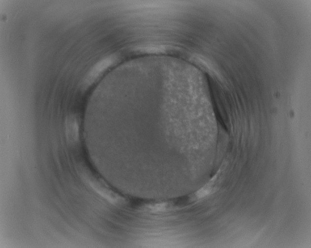 X0000076450120200610271834