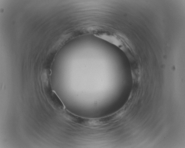 X0000076450121200610271834