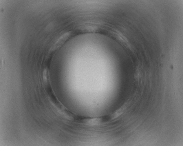 X0000076450122200610271834