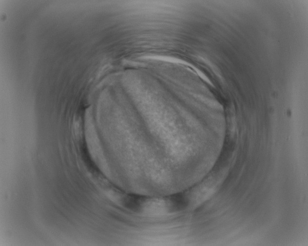 X0000076450123200610271834