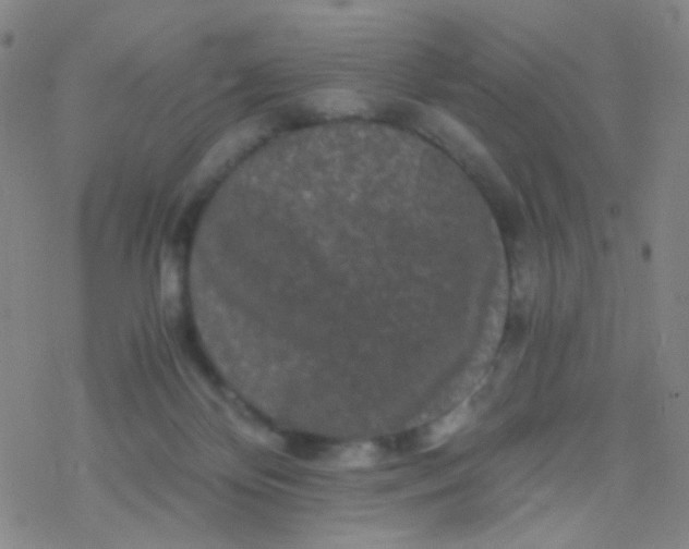 X0000076450124200610271834