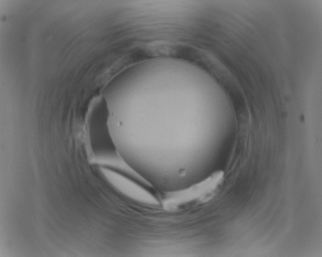 X0000076450125200610271834