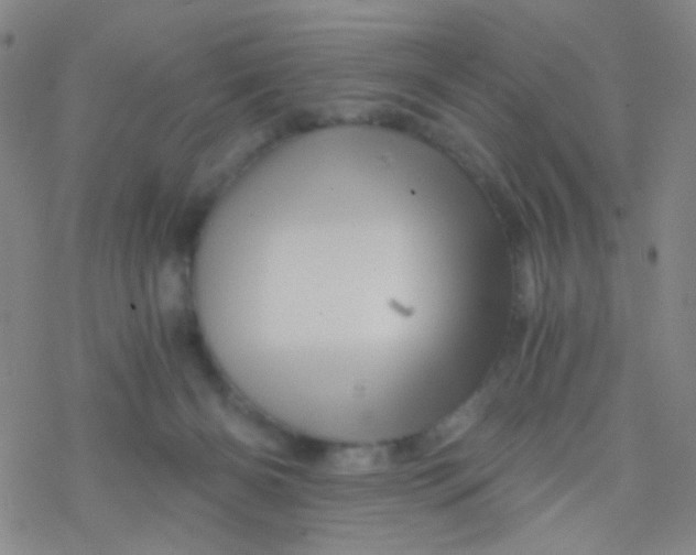 X0000076450126200610271834