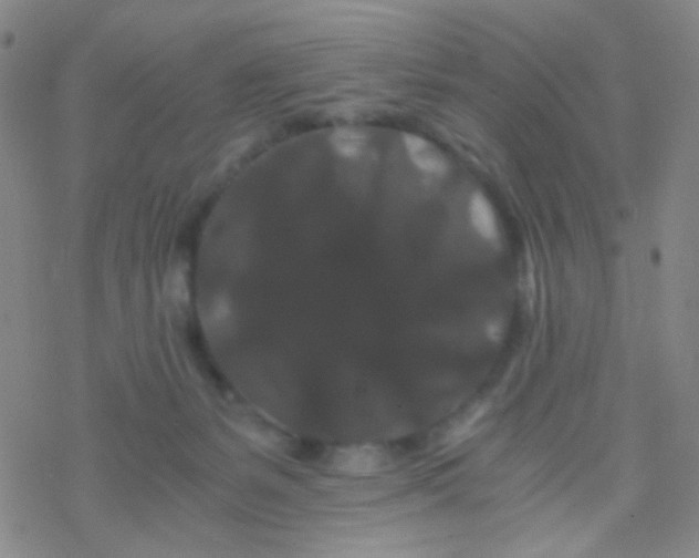 X0000076450127200610271834