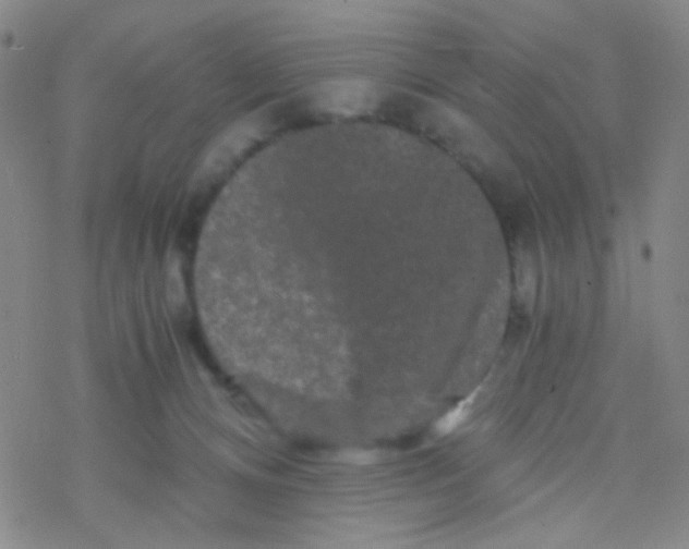 X0000076450128200610271834