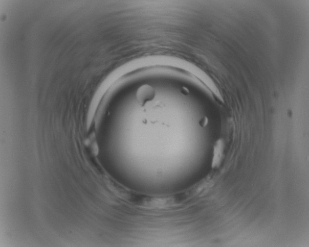 X0000076450129200610271834